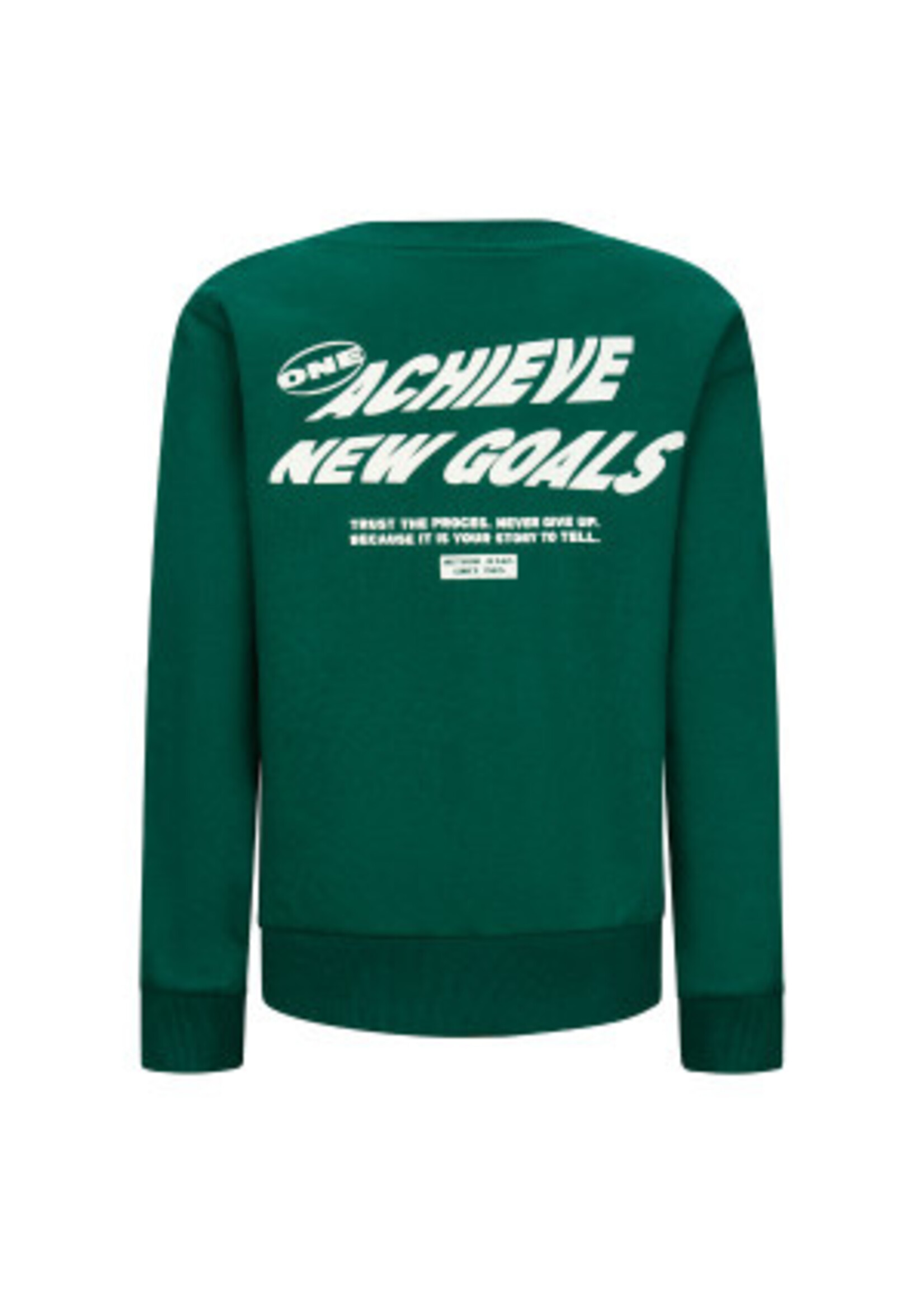 Retour Jeans Sweater Kelto (RJB-053-701) - groen