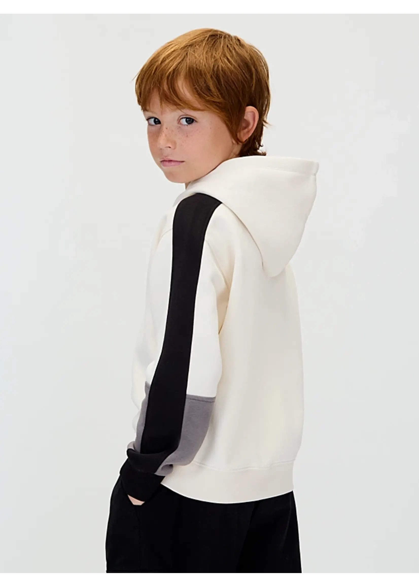 Calvin Klein Trui IB0IB02559PGB - BRUSHED FLEECE CLR BLOCK HOODIE - grijs