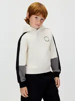 Calvin Klein Trui IB0IB02559PGB - BRUSHED FLEECE CLR BLOCK HOODIE - grijs