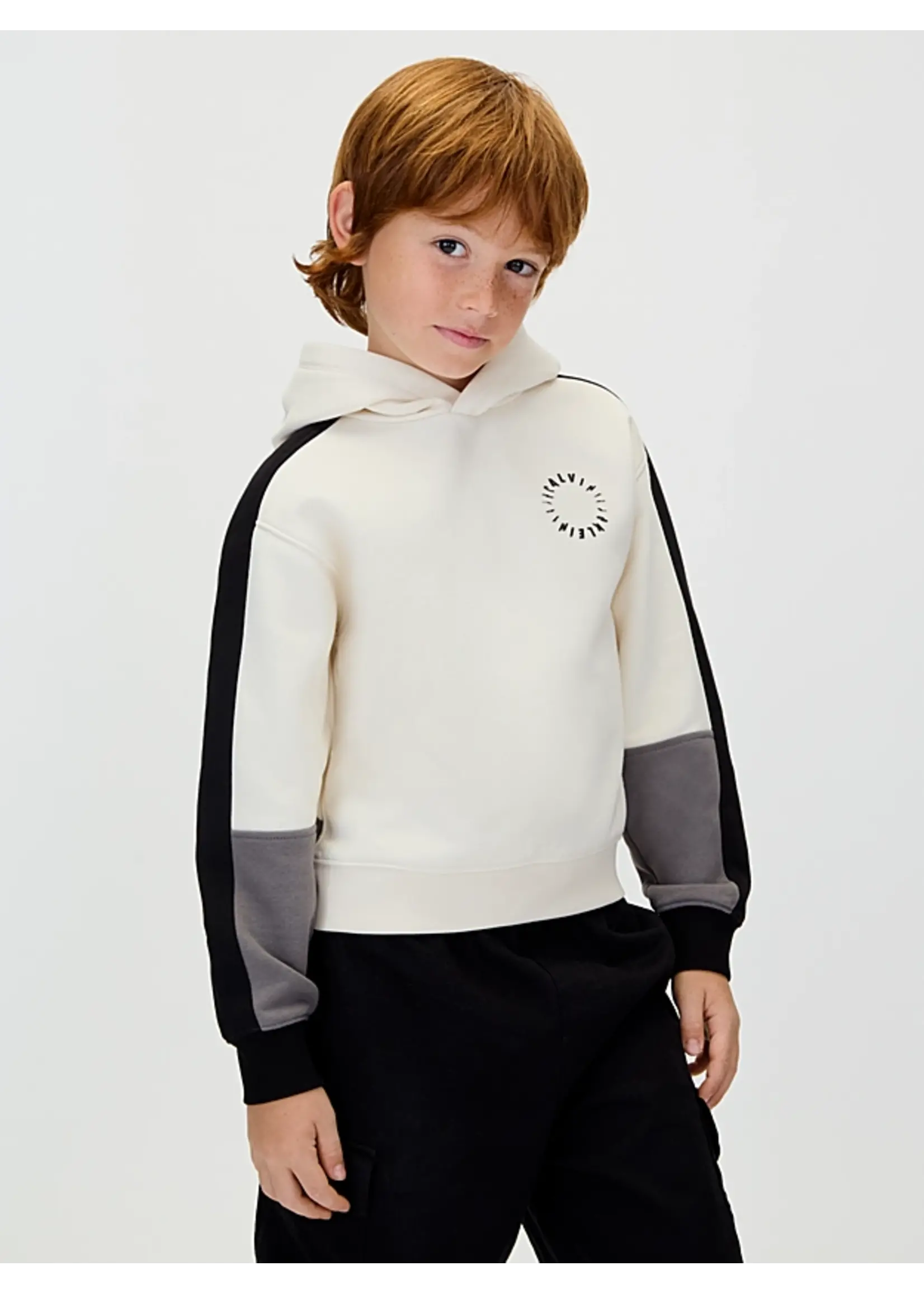 Calvin Klein Trui IB0IB02559PGB - BRUSHED FLEECE CLR BLOCK HOODIE - grijs