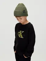 Calvin Klein Beanie / Muts IU0IU00440BEH - MONOGRAM RIB - groen