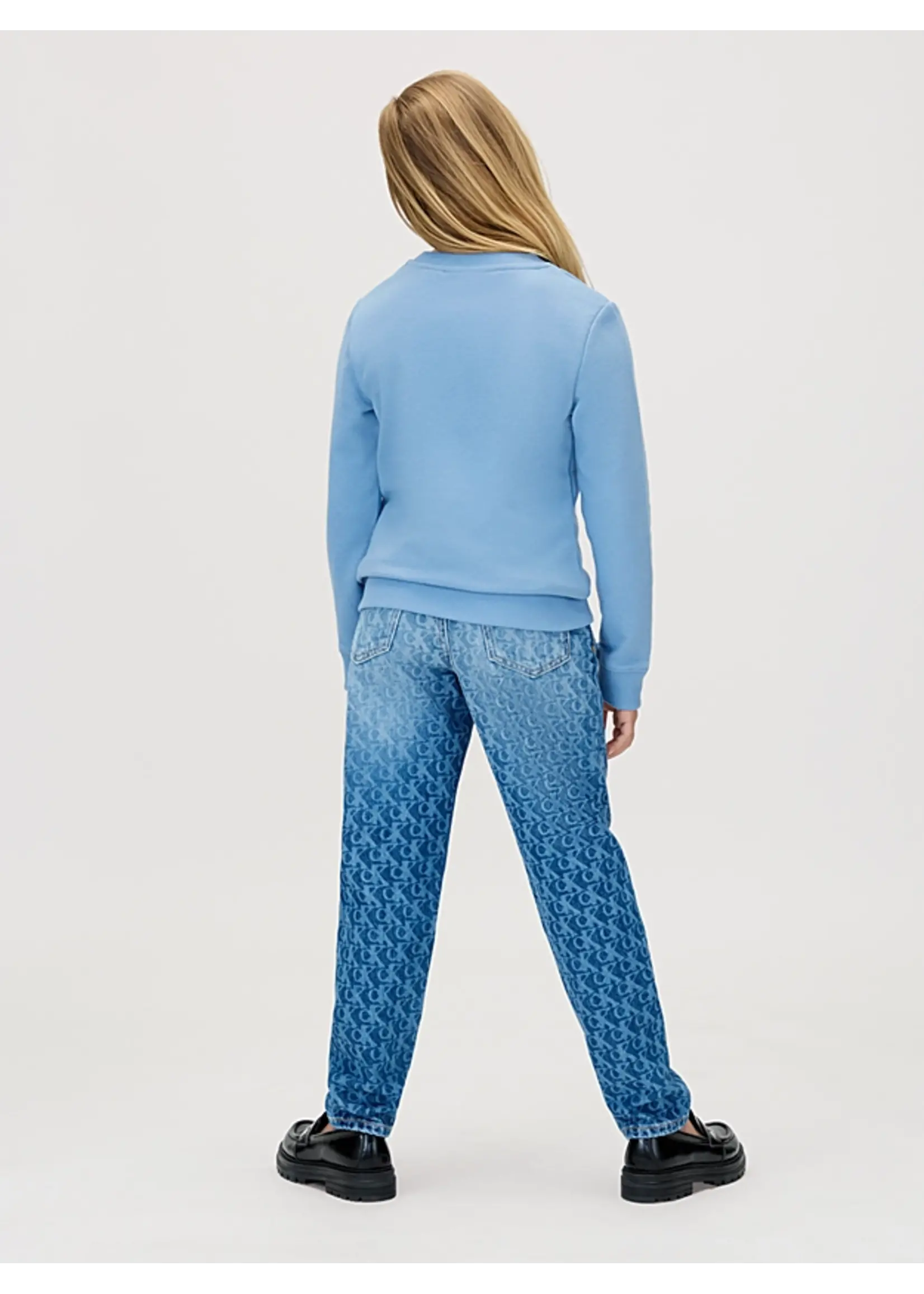 Calvin Klein Sweater  I IU0IU00570CFF - MONO MINI BADGE - lichtblauw