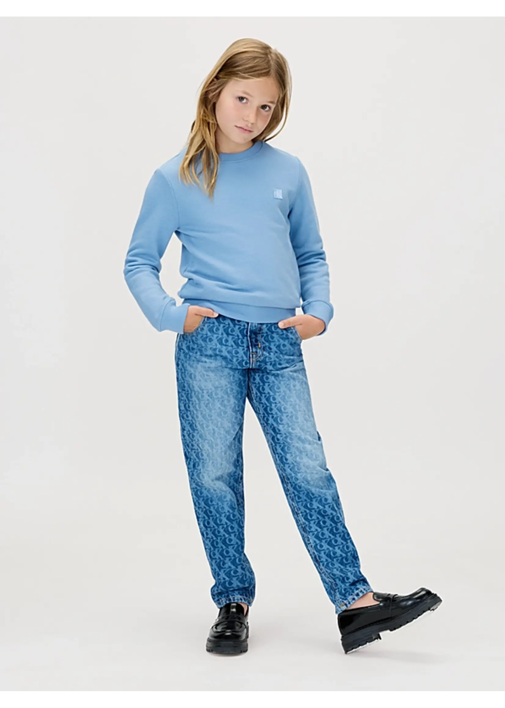 Calvin Klein Sweater  I IU0IU00570CFF - MONO MINI BADGE - lichtblauw