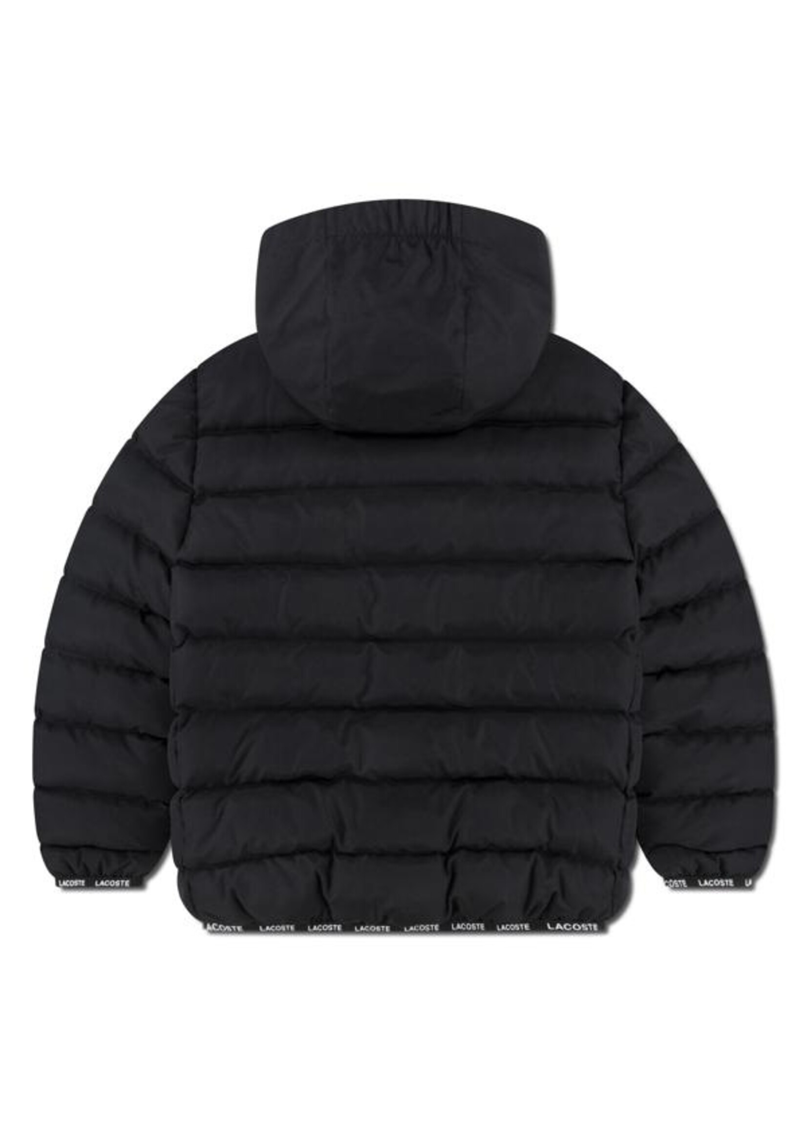 Lacoste Jas  947003-donkerblauw