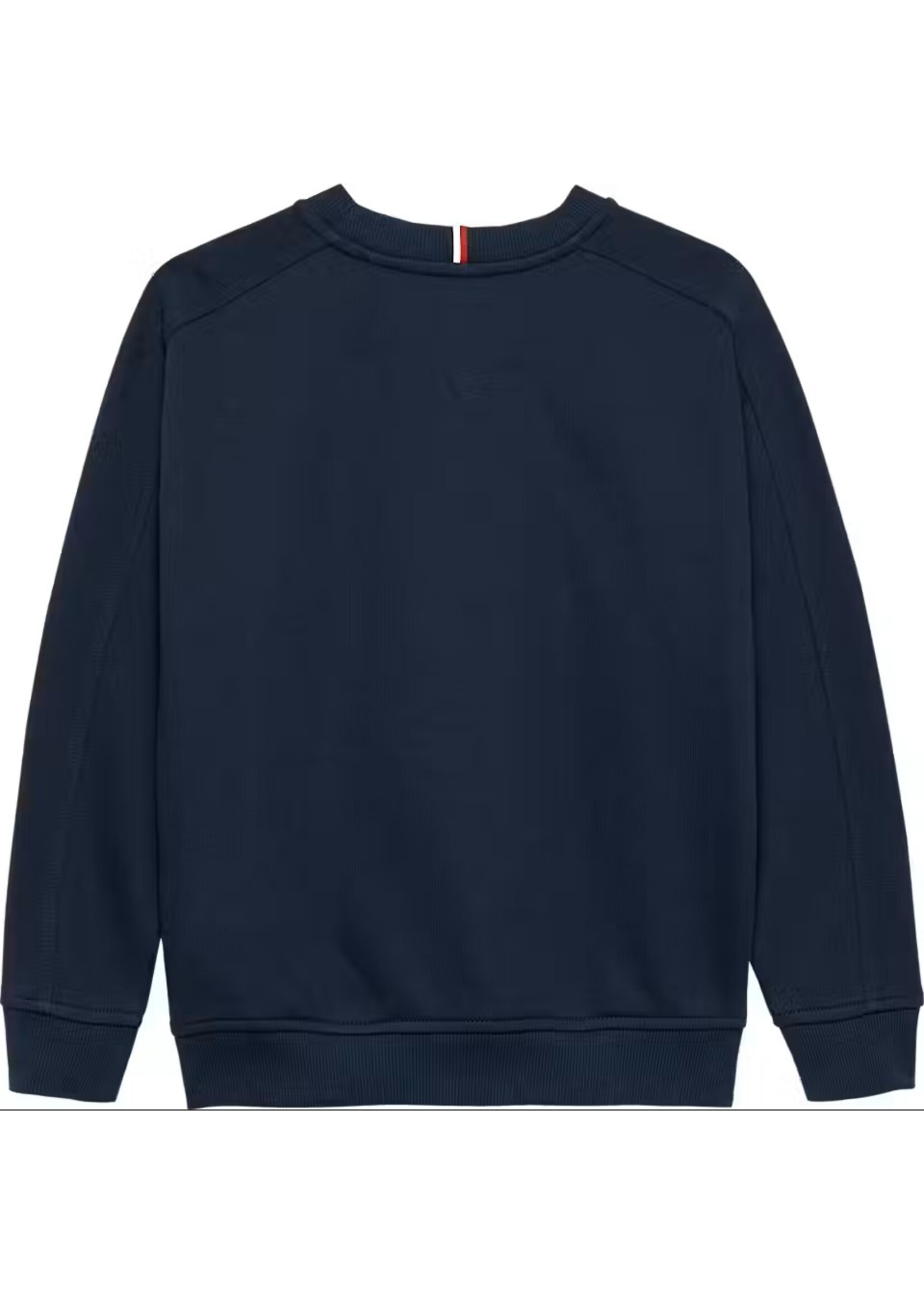 Tommy Hilfiger VARSITY RAISED PRINT SWEATSHIRT - KB0KB09899C1G