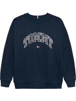 Tommy Hilfiger VARSITY RAISED PRINT SWEATSHIRT - KB0KB09899C1G