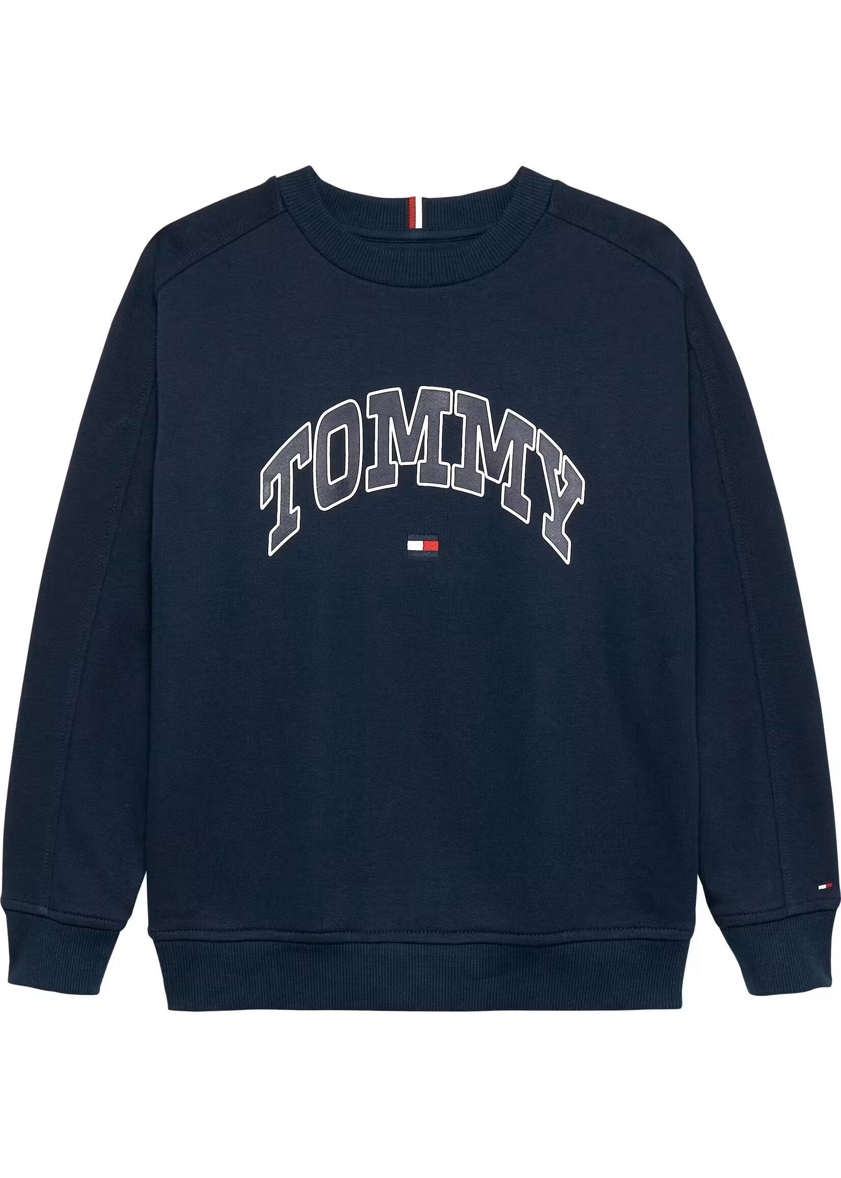 Tommy Hilfiger VARSITY RAISED PRINT SWEATSHIRT - KB0KB09899C1G