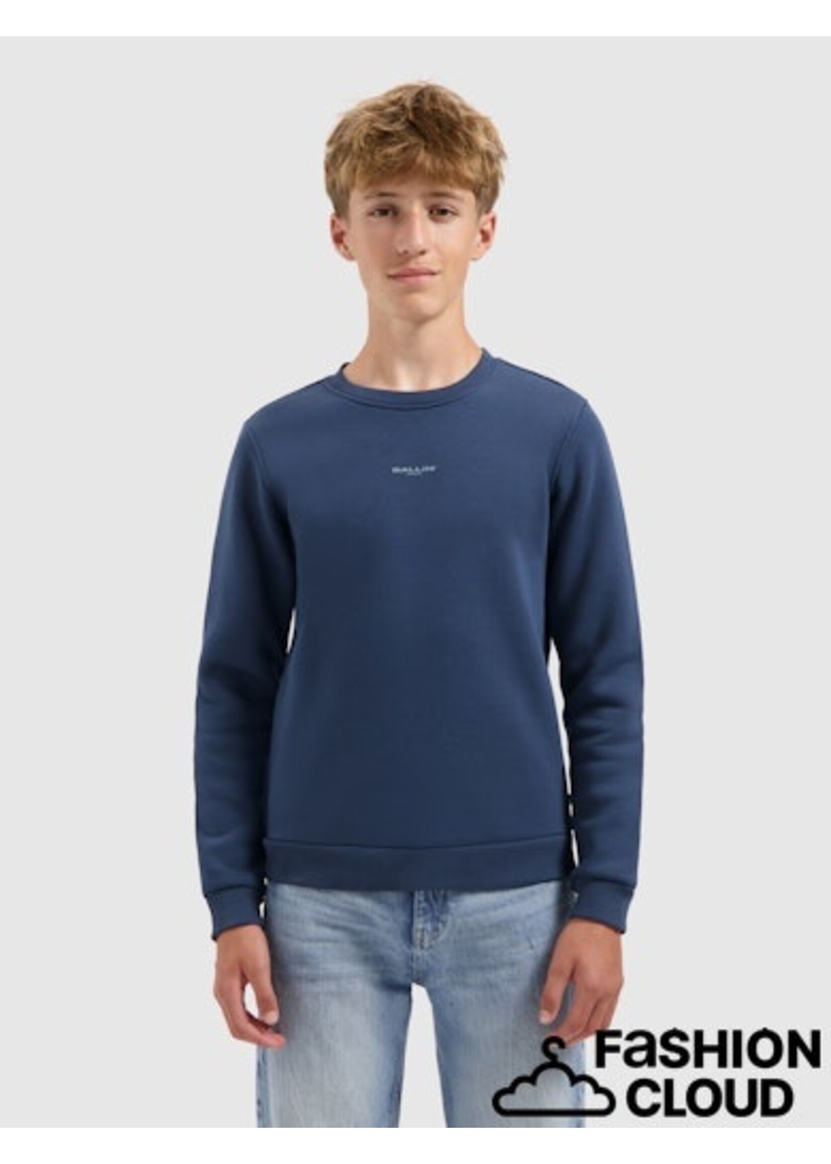 Ballin Wild City Logo Sweater (25037312) - navy