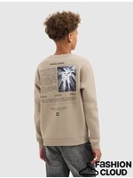 Ballin Animal Take Over Sweater (25037311) - taupe