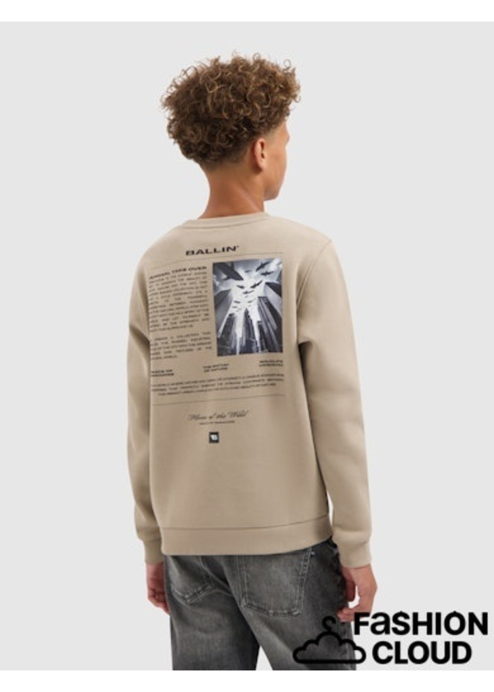 Ballin Animal Take Over Sweater (25037311) - taupe