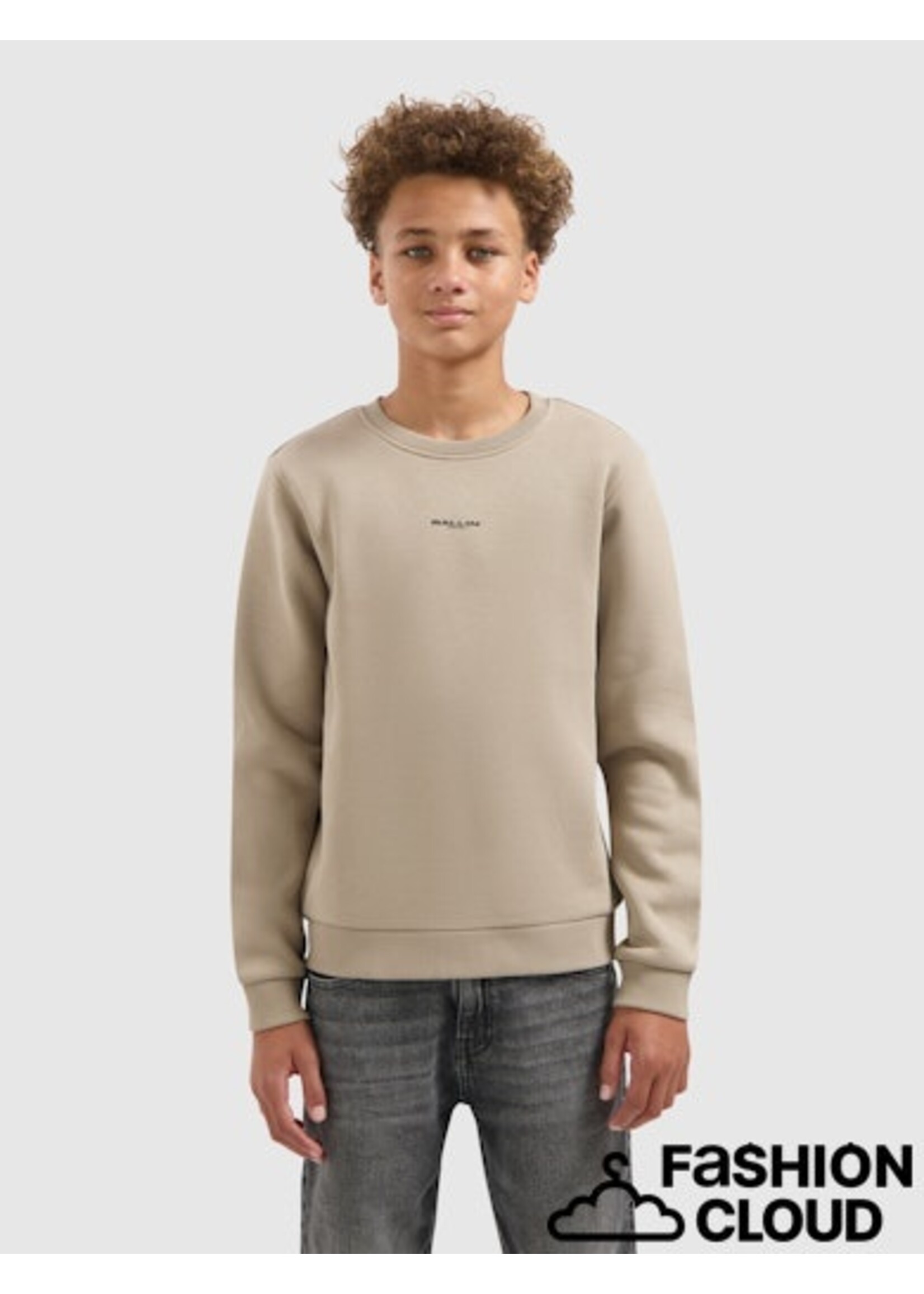 Ballin Animal Take Over Sweater (25037311) - taupe