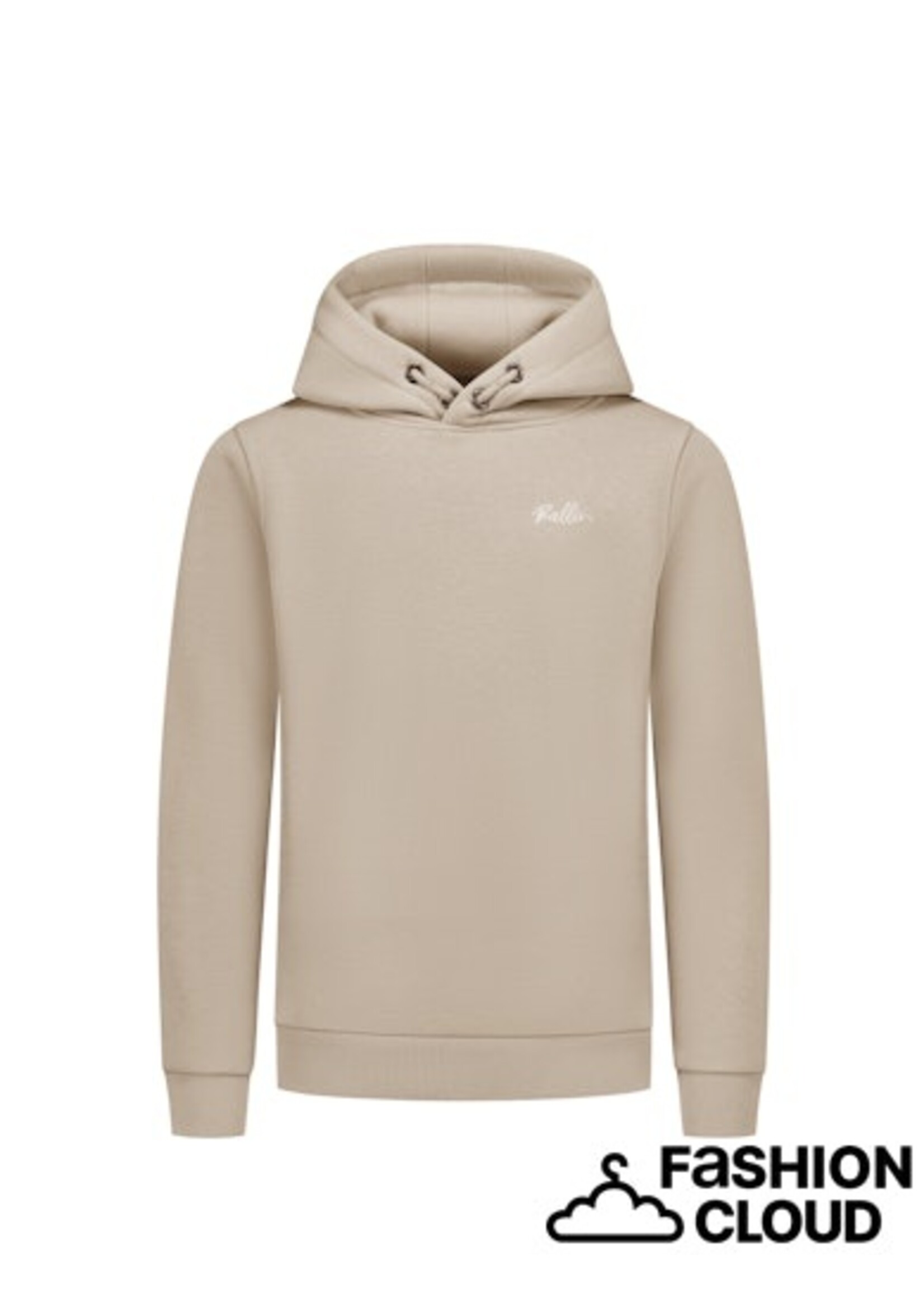 Ballin  Echoes Of The Urban Wild Hoodie (25037333) - taupe