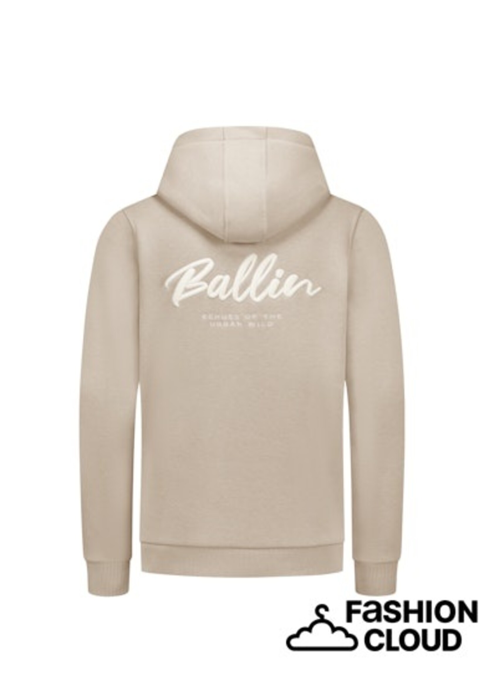 Ballin  Echoes Of The Urban Wild Hoodie (25037333) - taupe