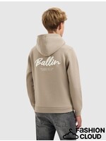 Ballin Echoes Of The Urban Wild Hoodie (25037333) - taupe