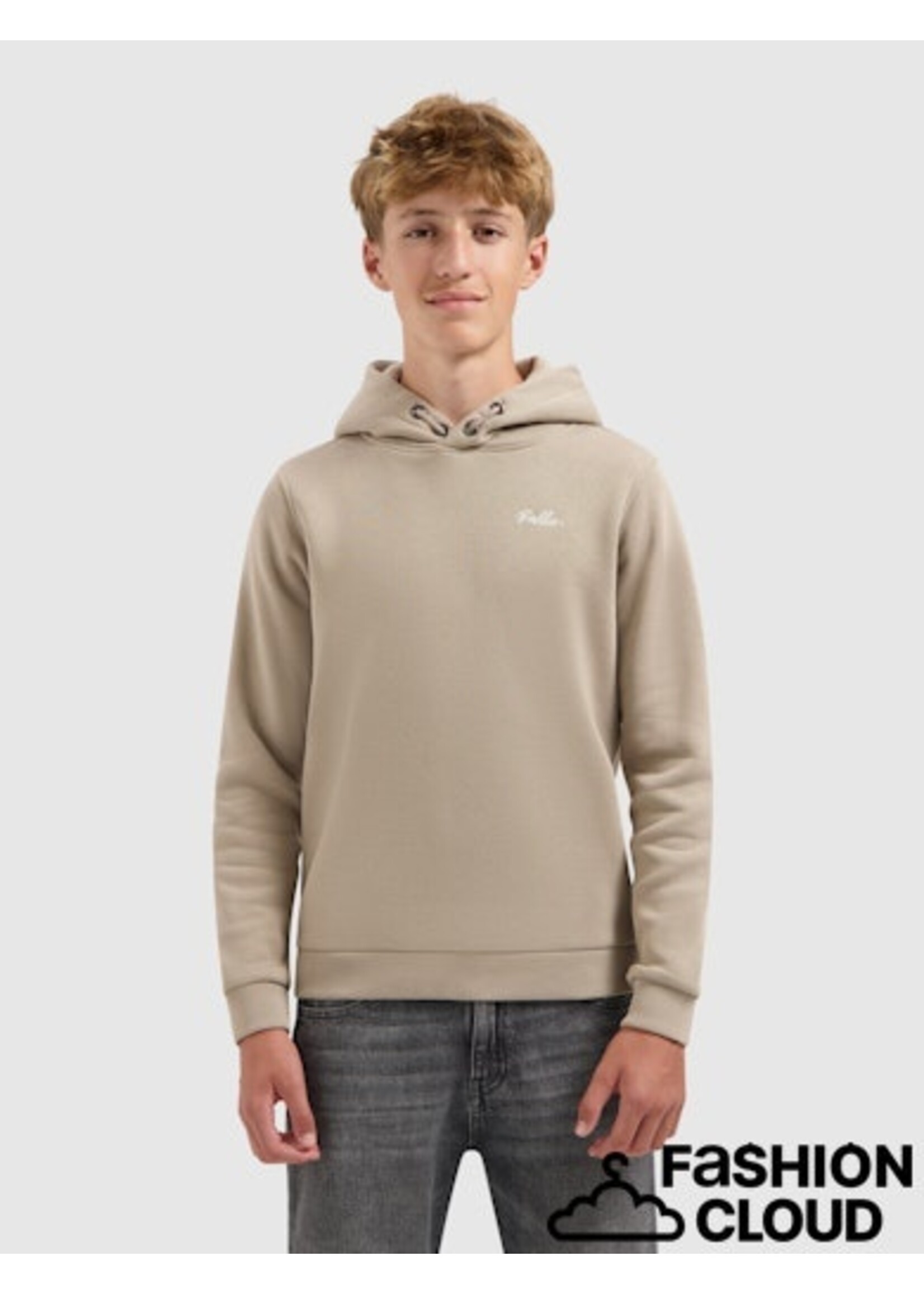 Ballin  Echoes Of The Urban Wild Hoodie (25037333) - taupe