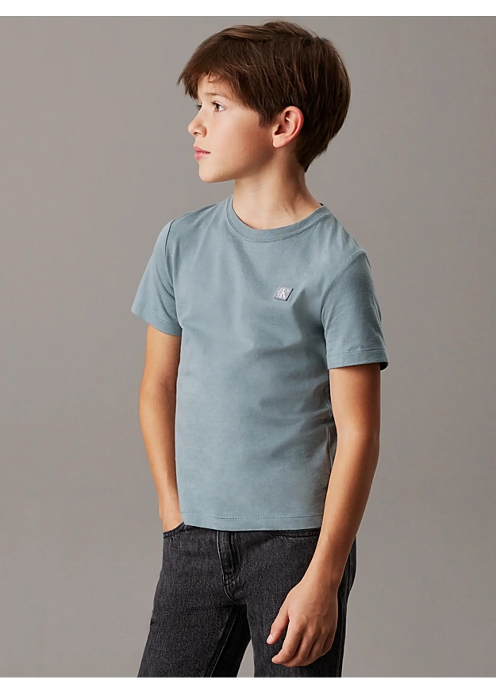 Calvin Klein T-Shirt   IU0IU00543CFF - MONO MINI BADGE REG - grijsblauw