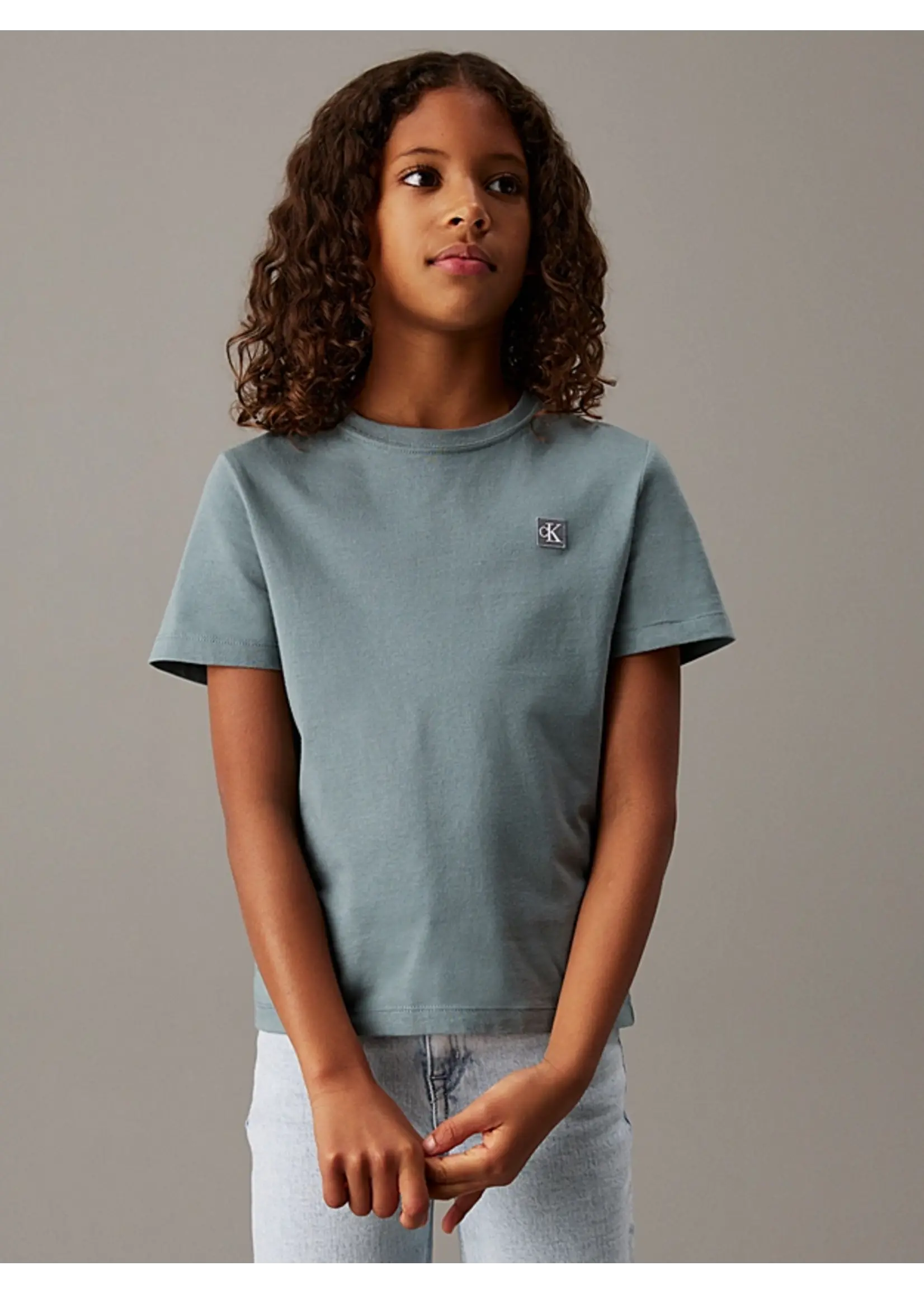 Calvin Klein T-Shirt   IU0IU00543CFF - MONO MINI BADGE REG - grijsblauw