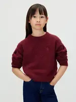 Calvin Klein Sweater  IG0IG03048XU4 - BOX PLEAT FLUFFY SWEATER - bordeaux