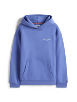 Tommy Hilfiger Hoodie   KS0KS00660C6D - MINI CORP - blauw