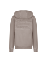 Cars Hoodie Northan - grijs