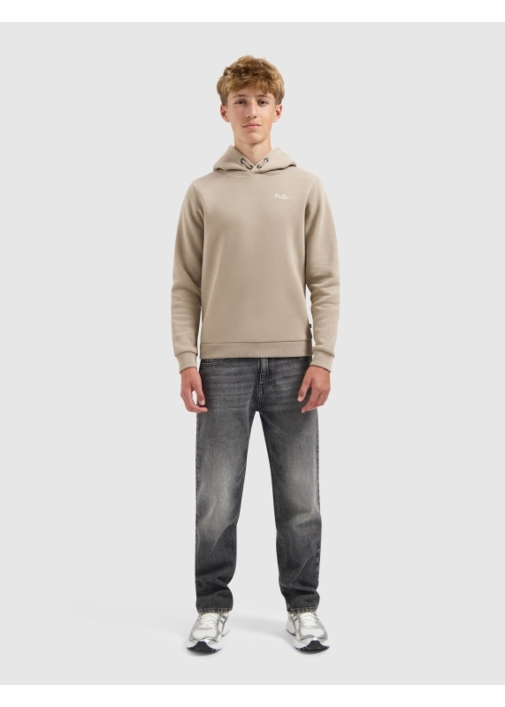 Ballin  Echoes Of The Urban Wild Hoodie (25037333) - taupe