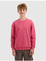 Ballin ZigZag Logo Sweater (25037318) - grapefruit