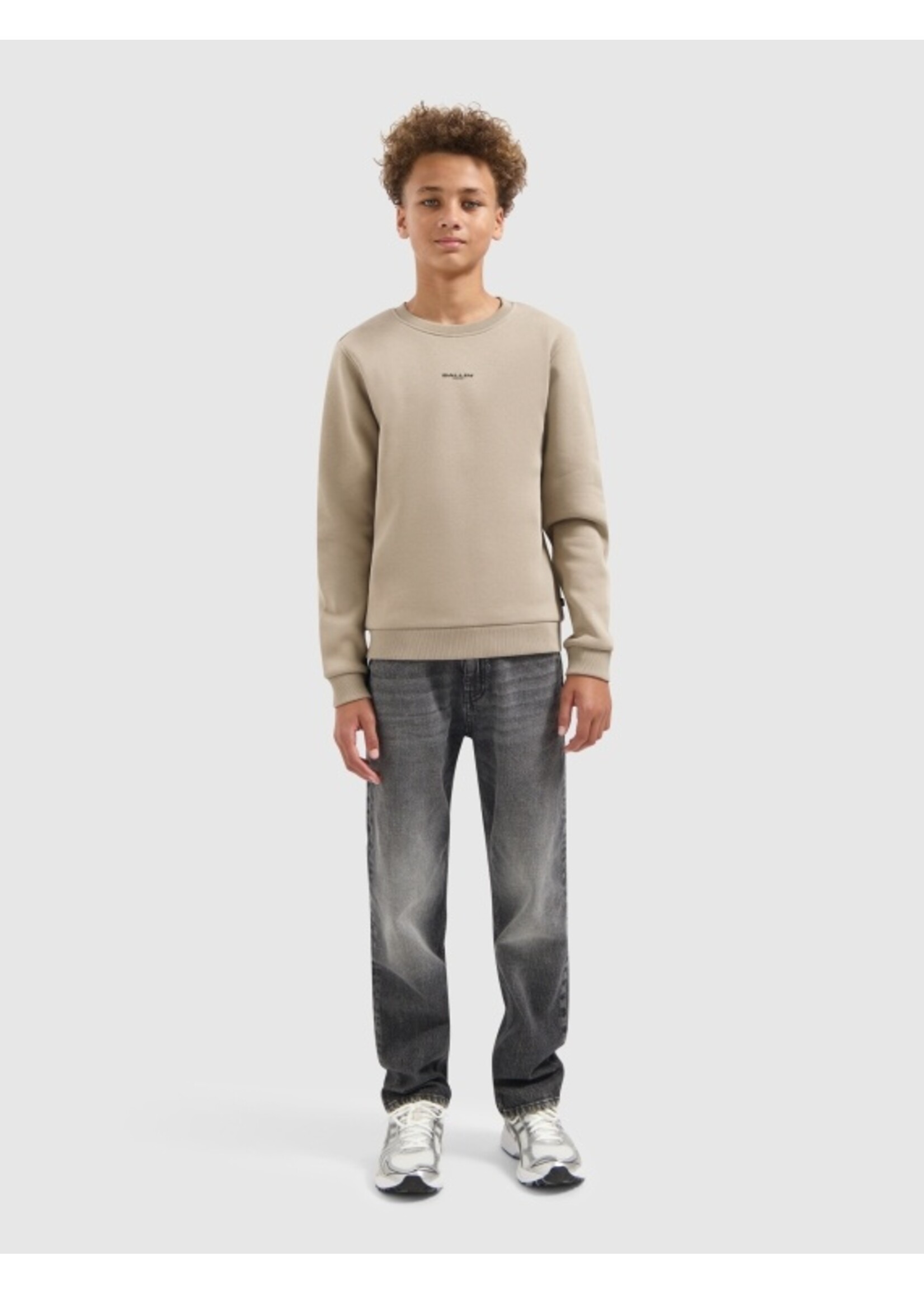 Ballin Animal Take Over Sweater (25037311) - taupe