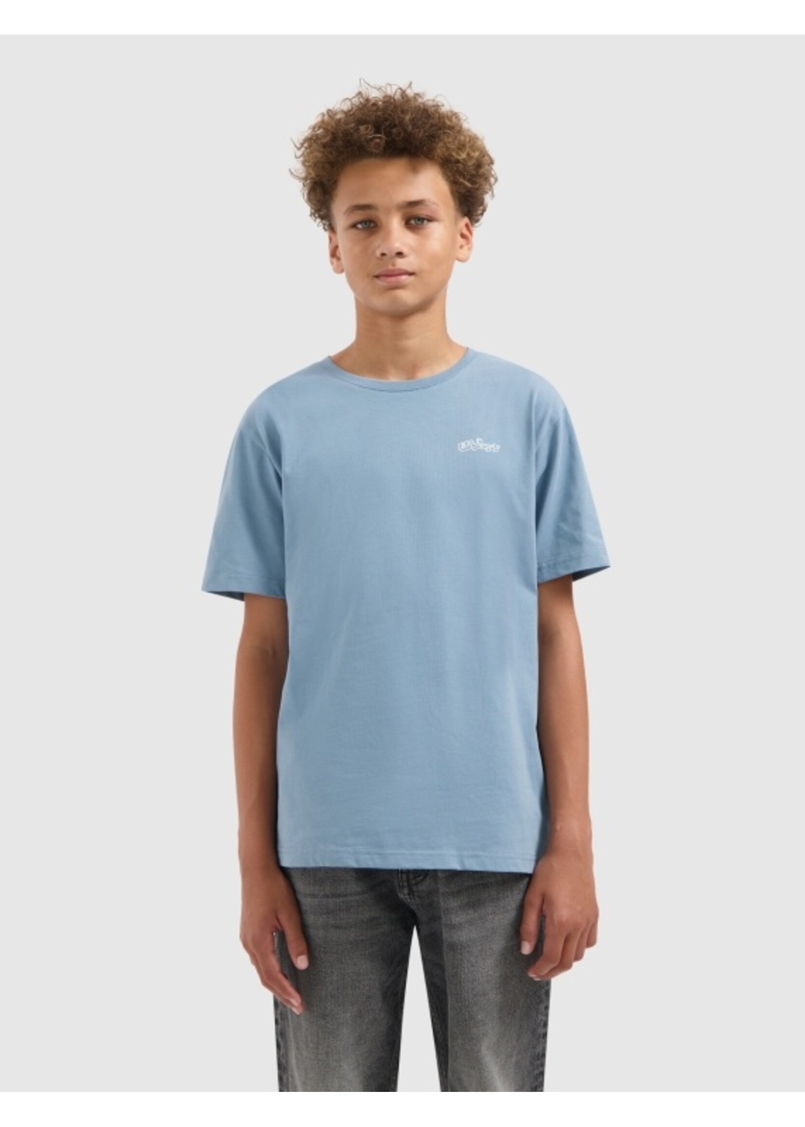 Ballin  BLLN T-shirt (25037133) - grijsblauw
