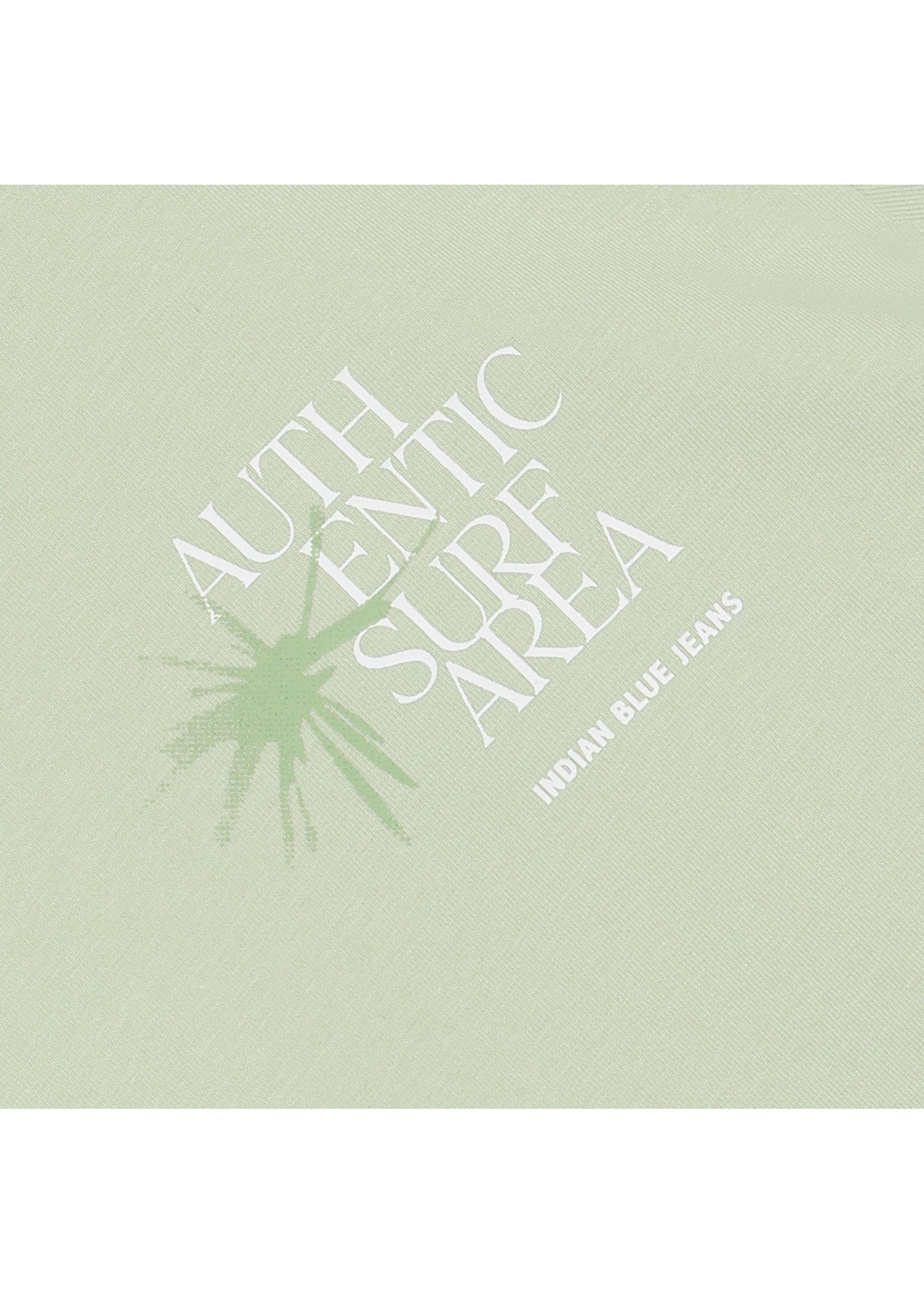 Indian blue jeans T-shirt 960585 Chest and Backprint - licht groen