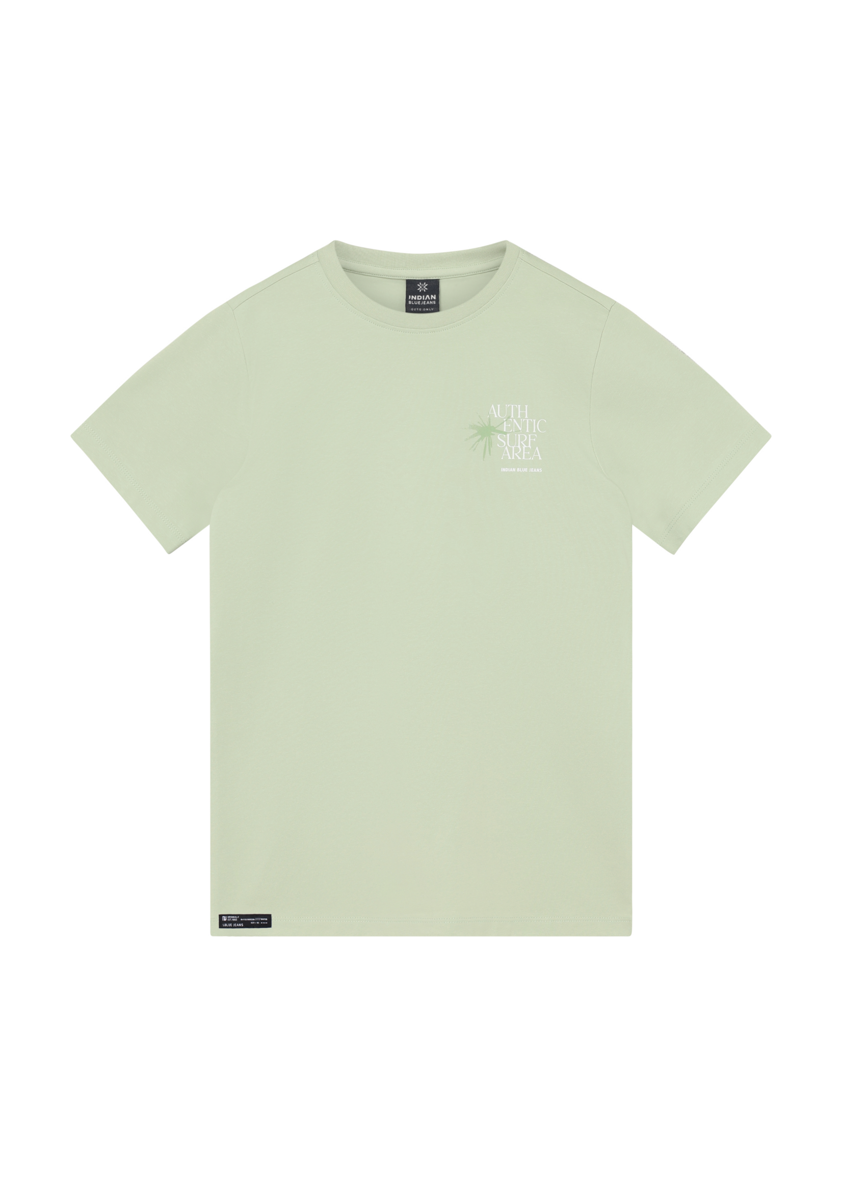 Indian blue jeans T-shirt 960585 Chest and Backprint - licht groen
