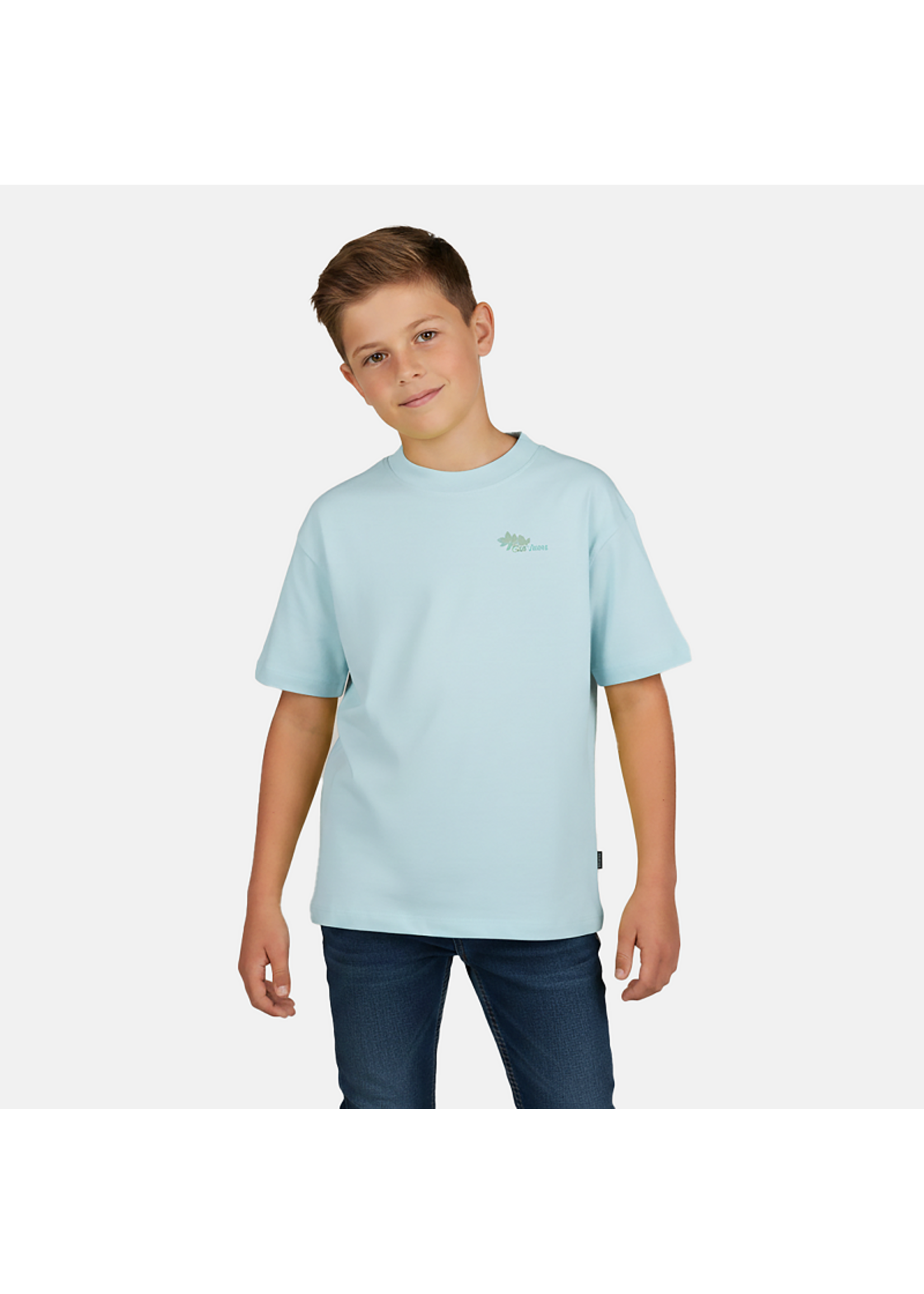 Cars T-Shirt Pluyo - Mint