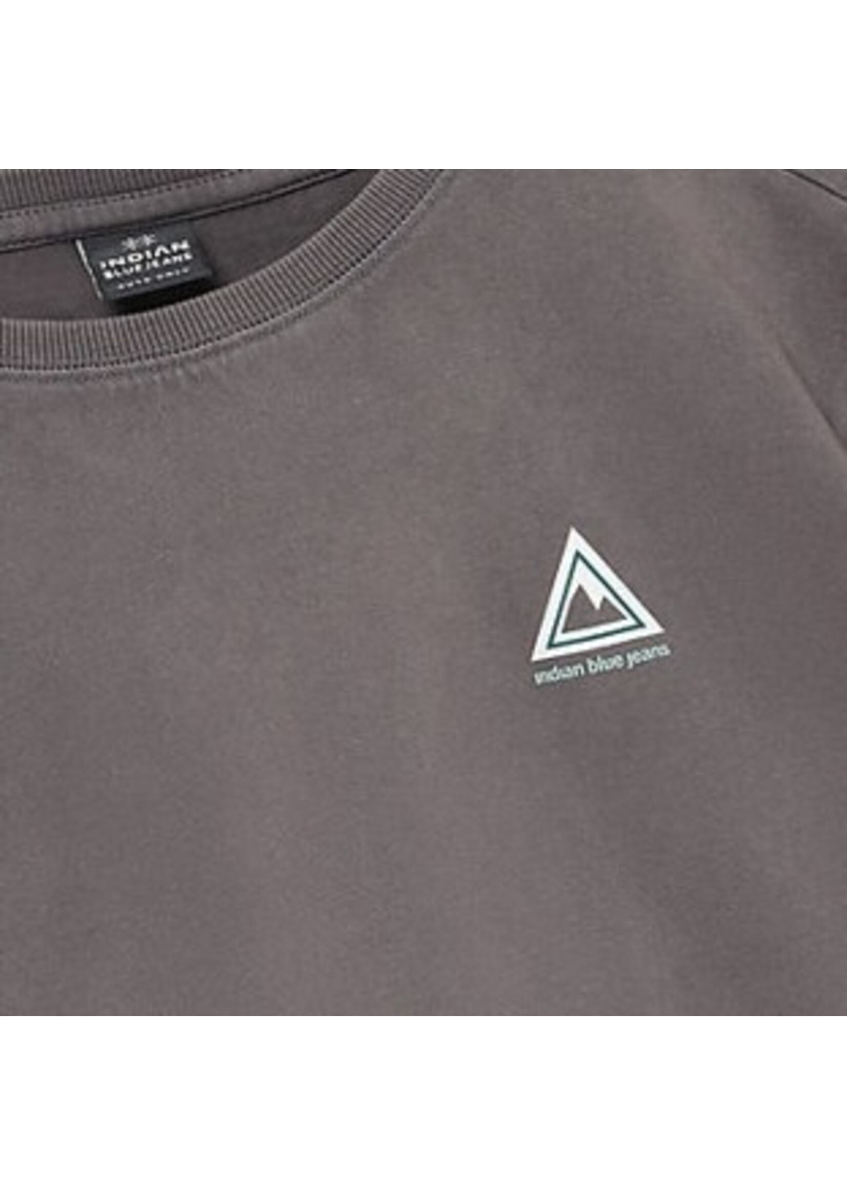 Indian blue jeans T-shirt 960655 Loose Fit - grijs