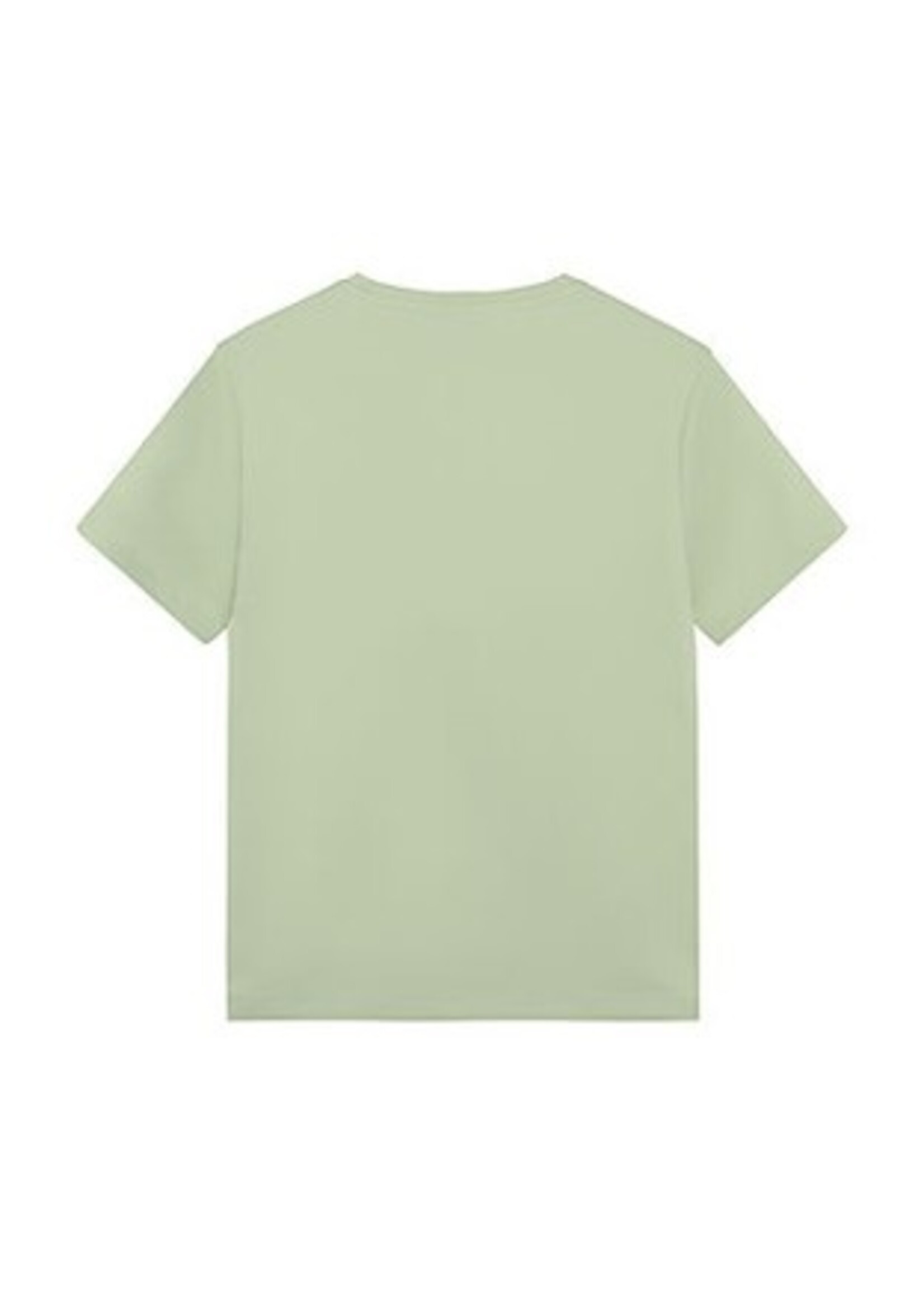 Indian blue jeans T-shirt 960647 Loose Fit Tape - lichtgroen