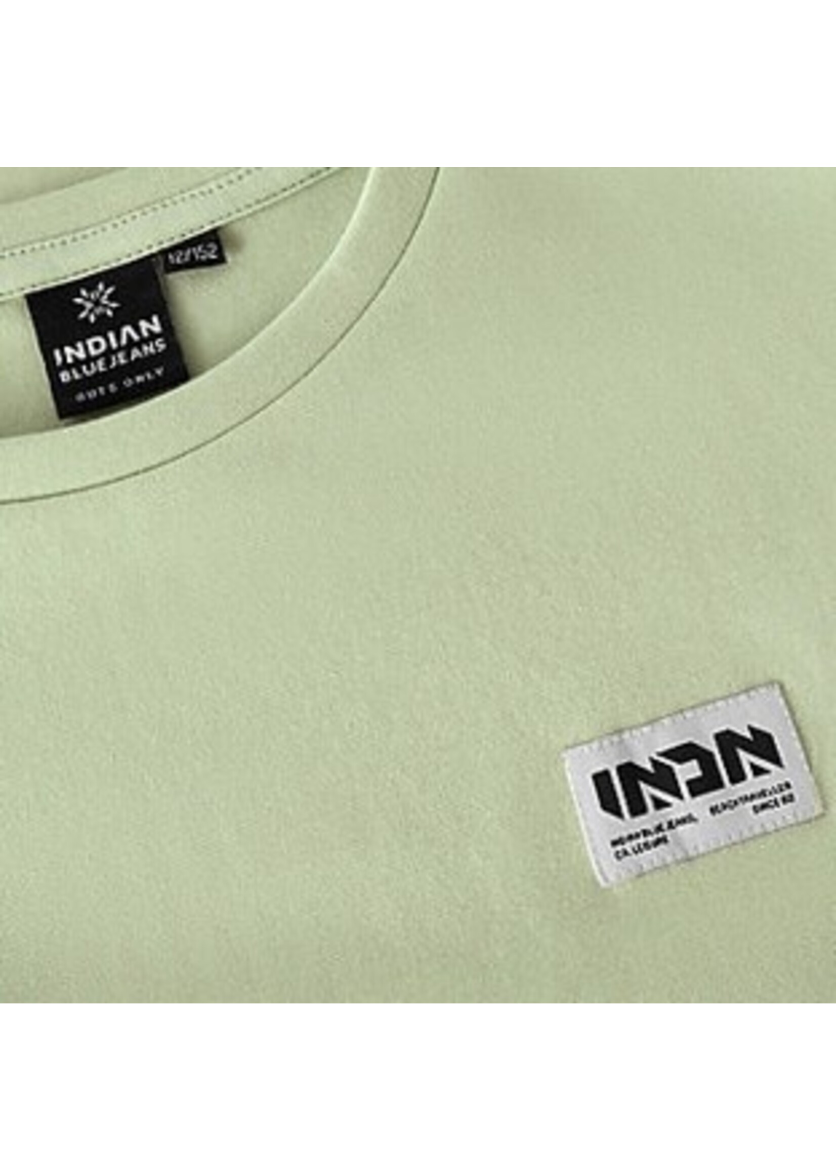 Indian blue jeans T-shirt 960647 Loose Fit Tape - lichtgroen