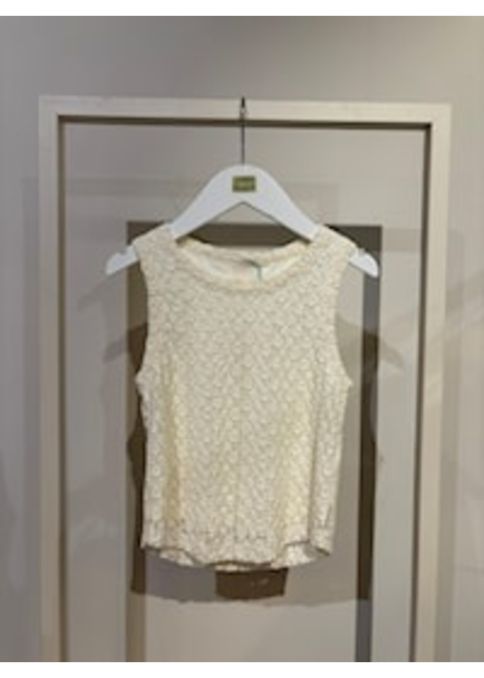 AAIKO Top Wailey Pes 169 - Birch