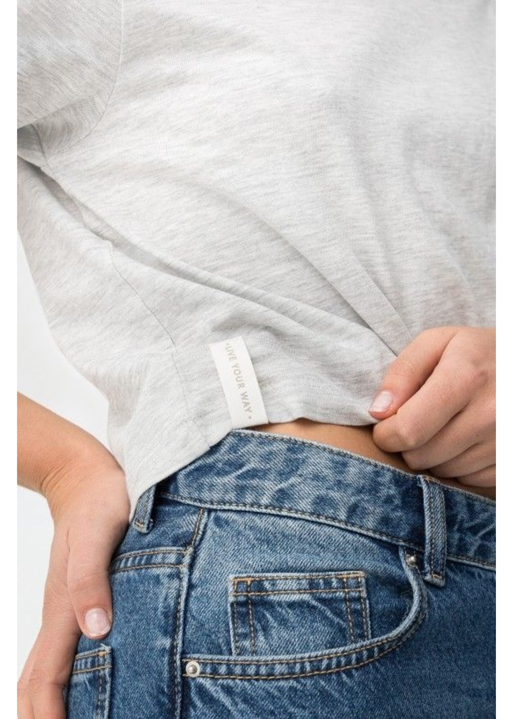 Tiffosi Shirt Almeida 10064626 - Grijs