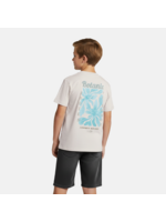 Cars T-Shirt Pluyo - stone grey