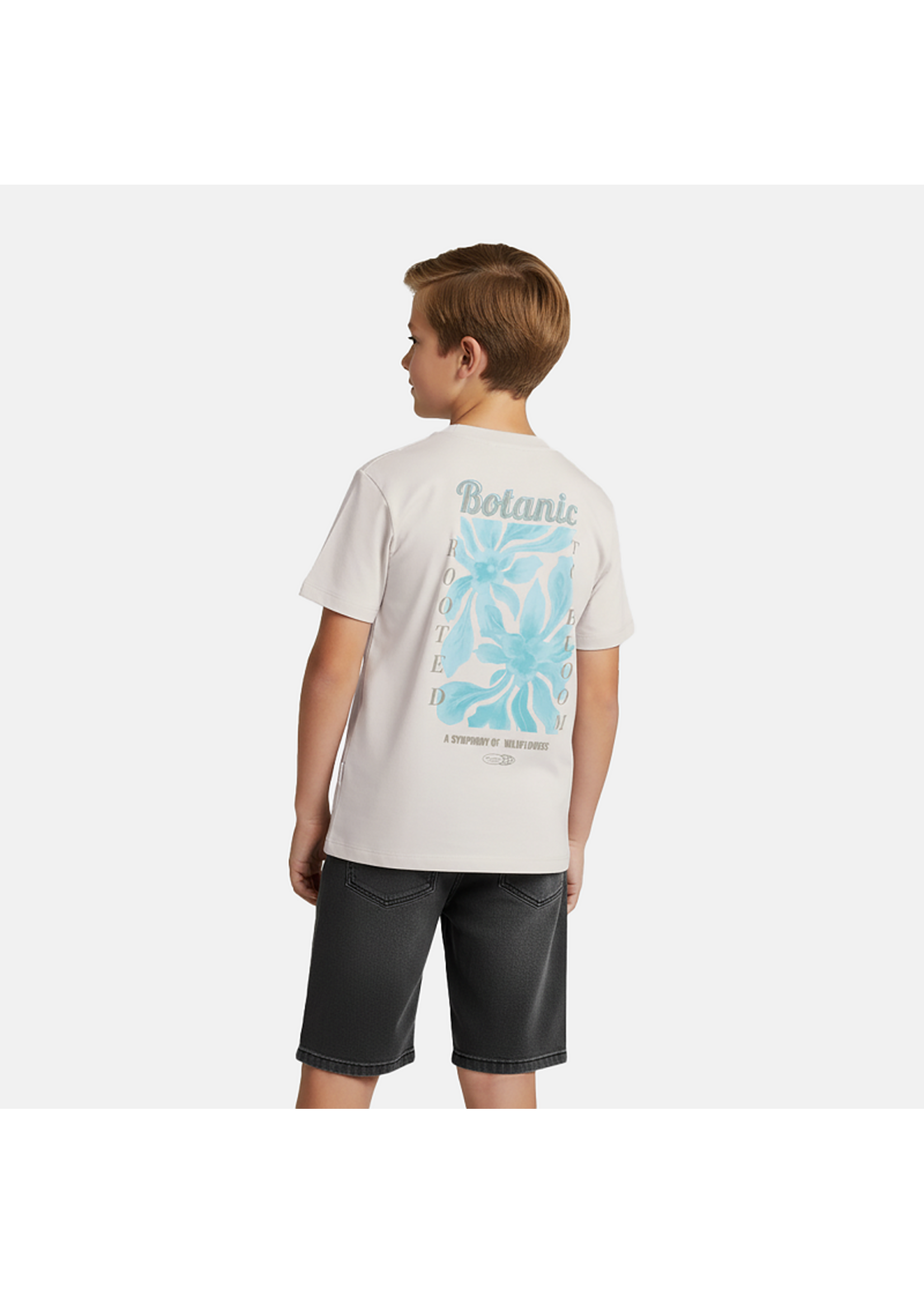 Cars T-Shirt Pluyo - stone grey