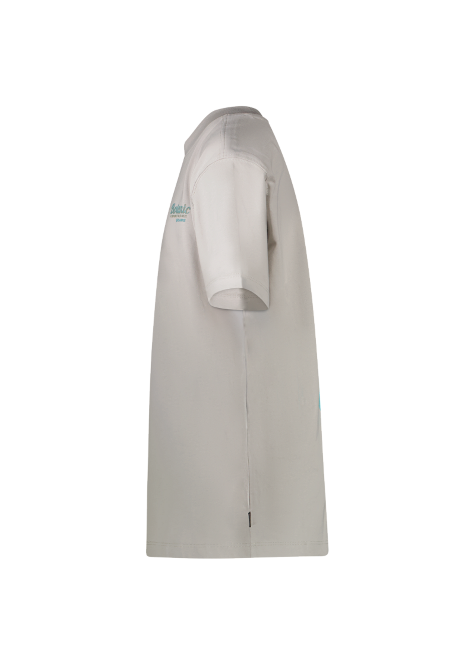 Cars T-Shirt Pluyo - stone grey