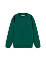 Tommy Hilfiger Sweater KS0KS00769L6N - FLAG HERITAGE CREWNECK - groen