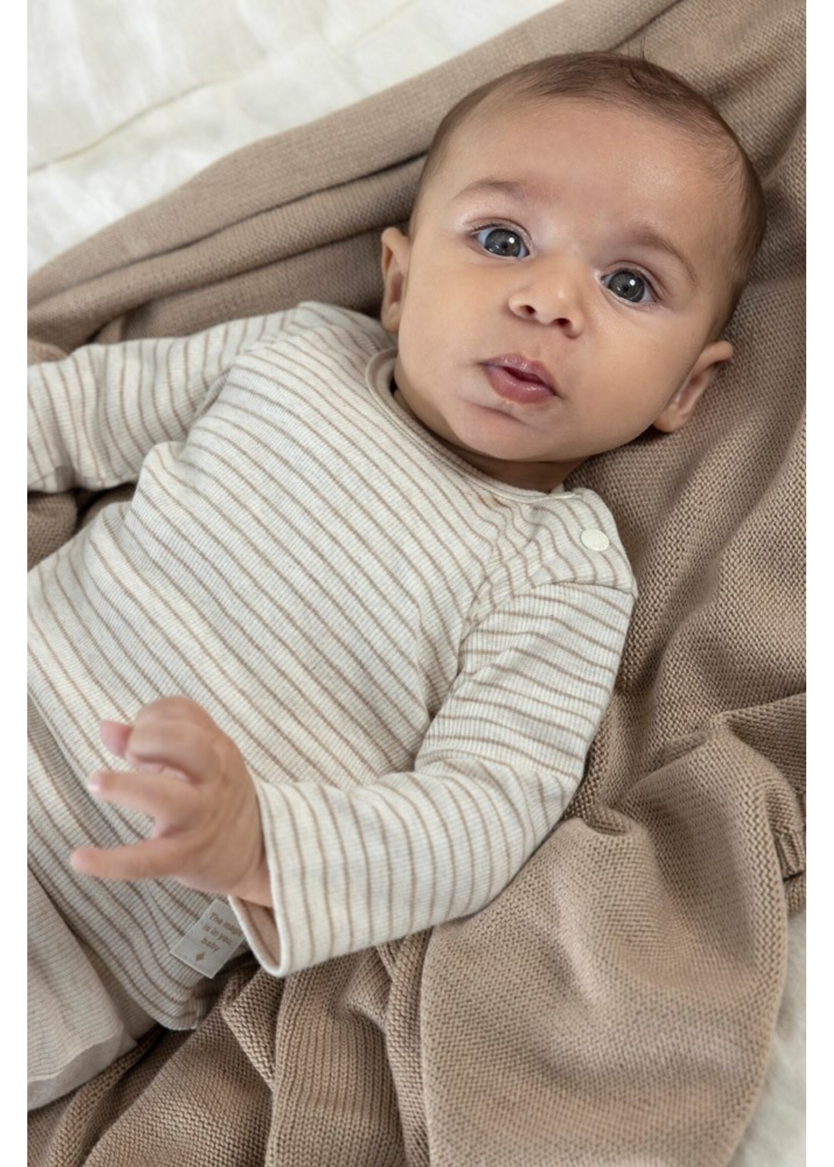 Feetje Shirt 51602275 - taupe melange