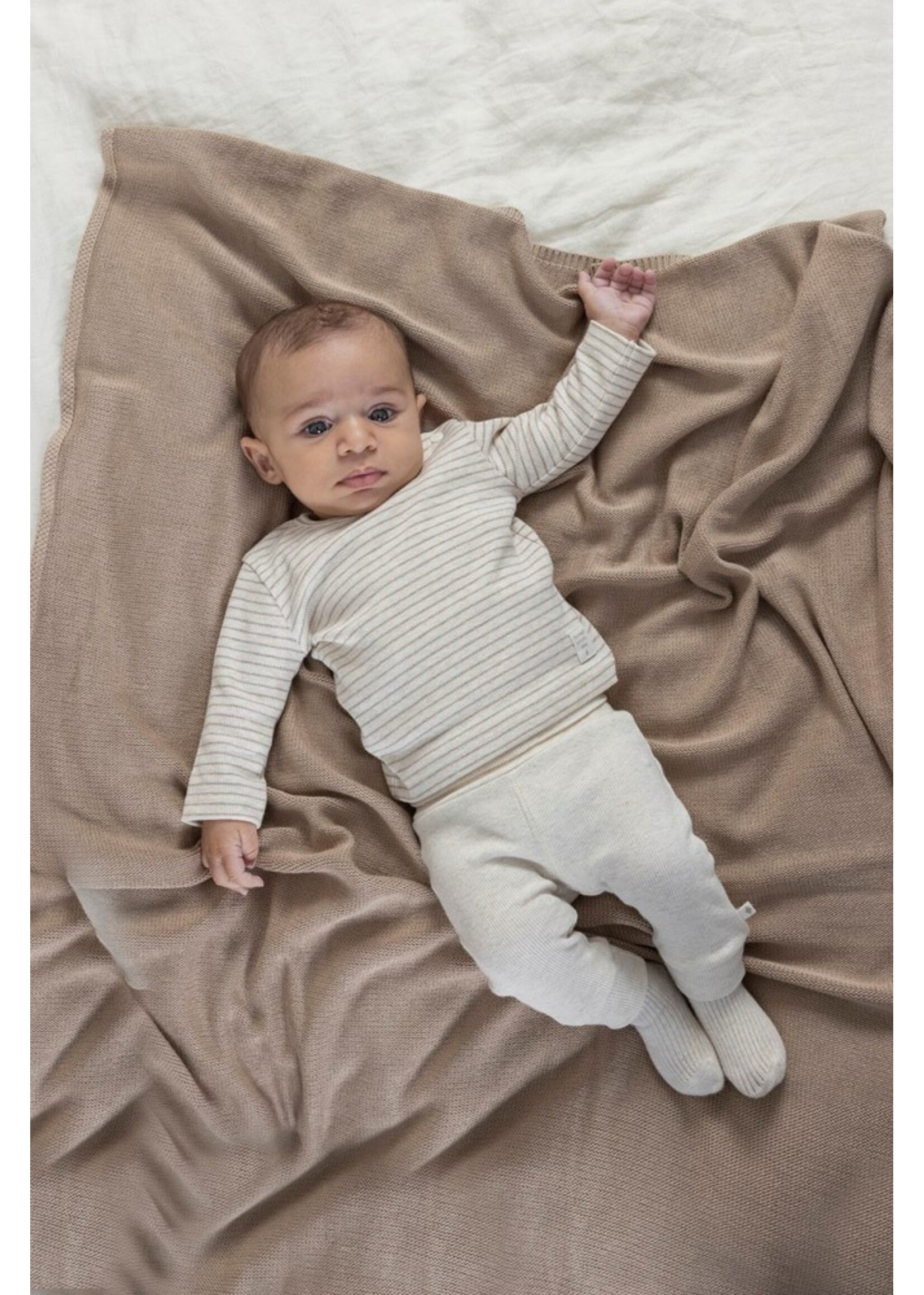 Feetje Shirt 51602275 - taupe melange