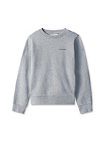 Calvin Klein Sweater LVCKTJB10UP9V - SMALL CHEST INST. LOGO REG CN - lichtgrijs