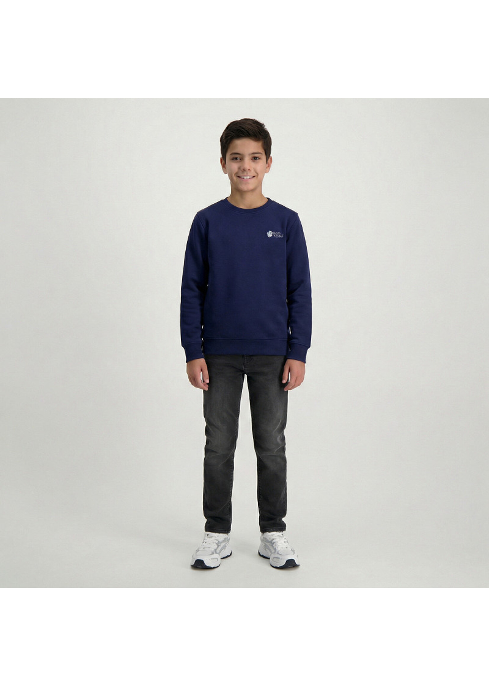 Cars Sweater Froy - Navy
