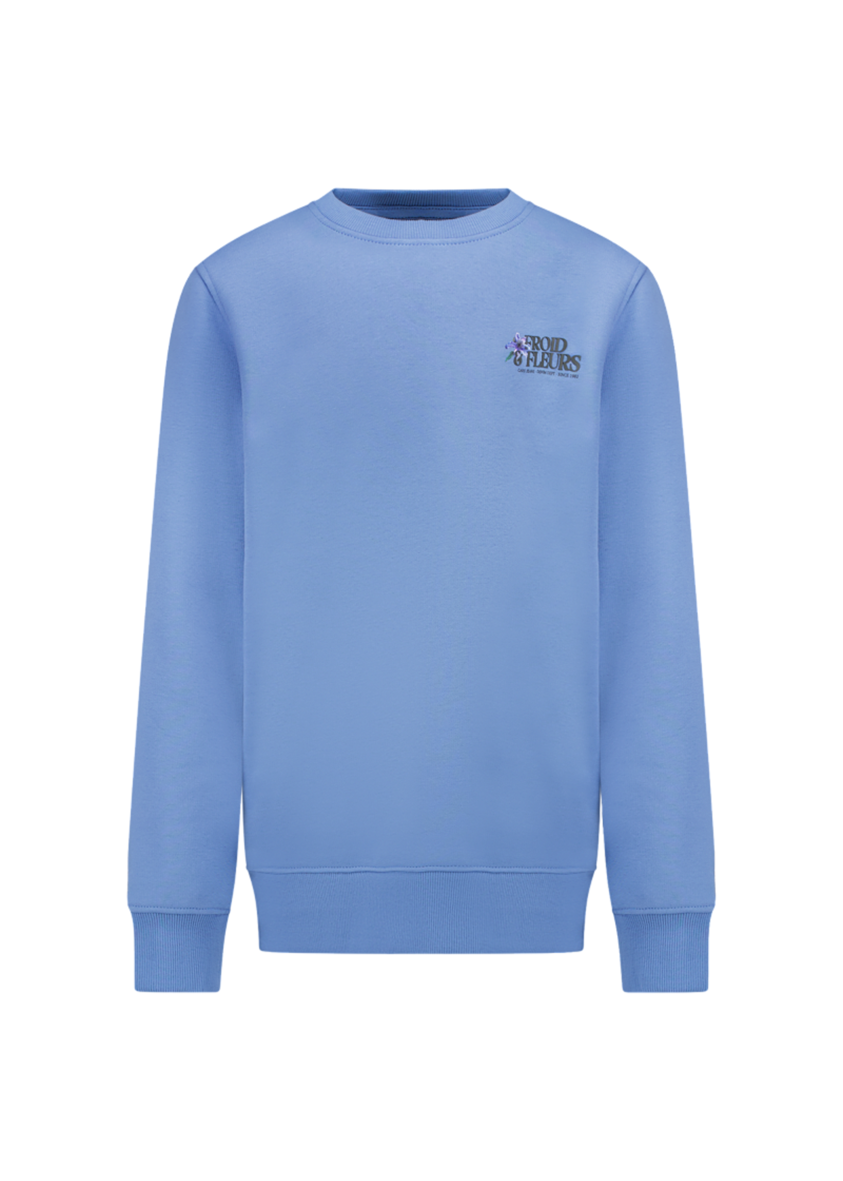 Cars Sweater Froy - Grey Blue
