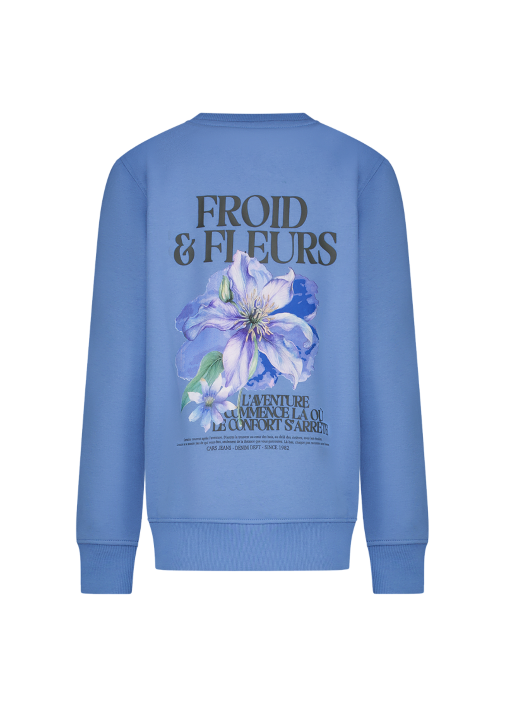 Cars Sweater Froy - Grey Blue