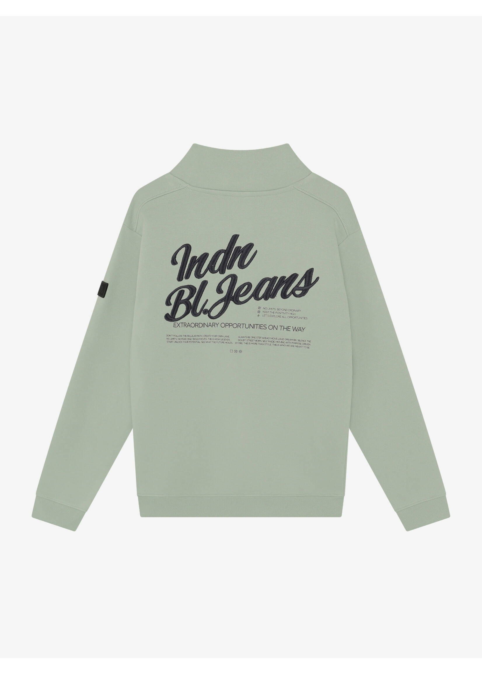 Indian blue jeans  Zip Sweater INDN Brushed 960753 - lichtgroen