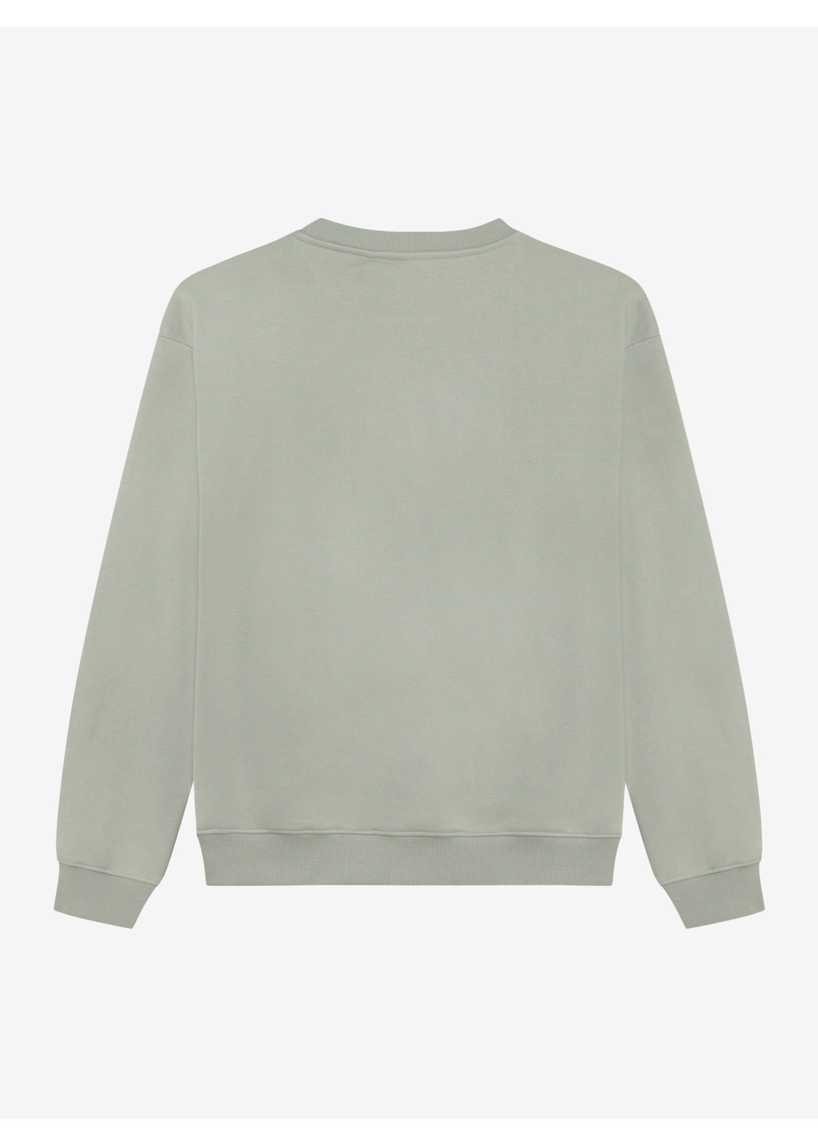 Indian blue jeans  Sweater  Loose Fit Sweat Basic 960754 - groen