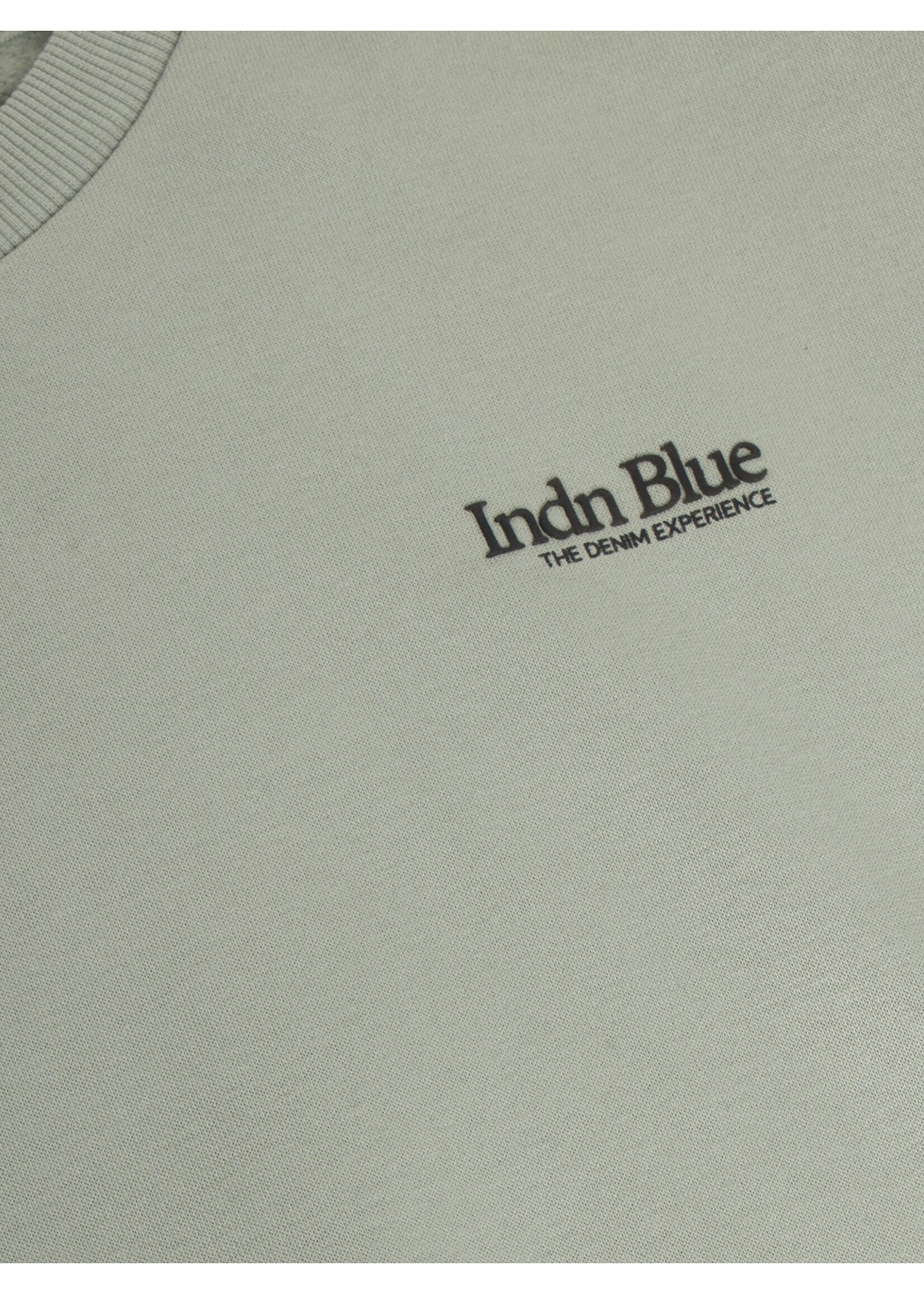 Indian blue jeans  Sweater  Loose Fit Sweat Basic 960754 - groen