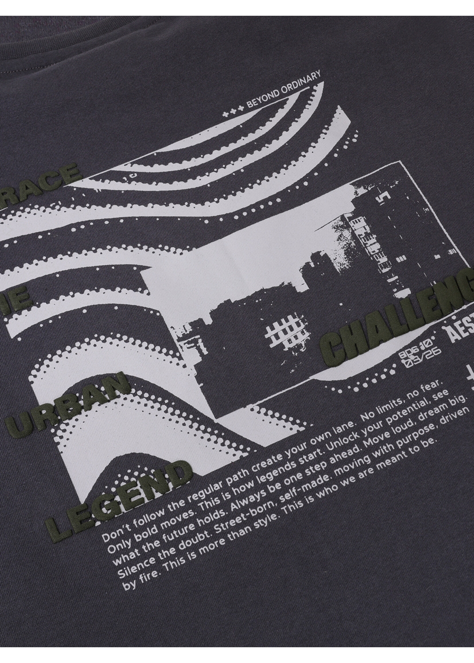 Indian blue jeans  T-Shirt  Loose Fit T-Shirt Backprint 960739 - donkerpaars